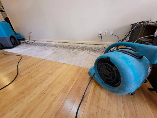 Professional Emergency Water Damage technician working in District Heights, MD